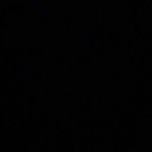 Meet your Posher, Donisha